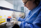 What Research Peptide COAs Reveal About Purity and Identity Claims 