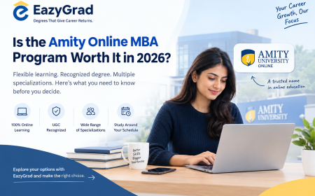 Is the Amity Online MBA Program Worth It in 2026?