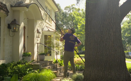 Commercial Window Cleaning Service in Fort Worth: A Guide for Cleaner Business Properties