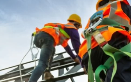 Fall Arrest System for Ladders: Ensuring Workplace Safety with Indianinovatix