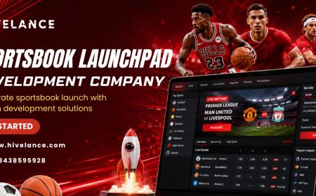 Sportsbook Launchpad Development: A Technical and Business Guide to Launching Your Betting Website
