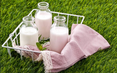 A2 Dairy in 2026: What the Label Really Means  