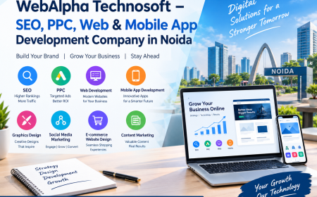 Expert Digital Marketing Agency in Noida for Online Success