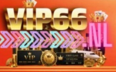 VIP66