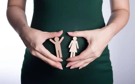 Pregnancy Discrimination & PDL Claims in California | Guide