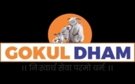 Gokuldham Mahatirth | Cow Donation & Gau Seva