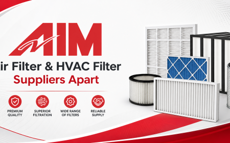 Behind Every Breath: What Sets Exceptional Air Filter & HVAC Filter Suppliers Apart