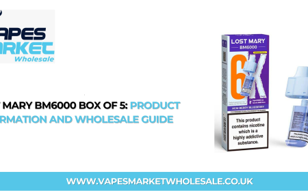 Lost Mary BM6000 Box of 5: Product Information and Wholesale Guide