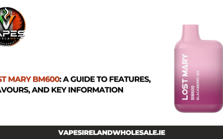 Lost Mary BM600: A Guide to Features, Flavours, and Key Information