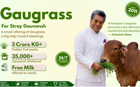Krishnayan Gaugrass Seva – Supporting the Daily Care of Gau Mata