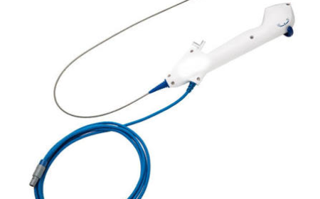 Ureteroscope Market Size, Growth, and Industry Trends 2026-2033