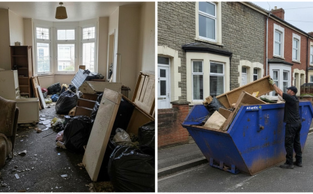 From Small Clearances to Big Jobs: Exploring Your Waste Removal Options