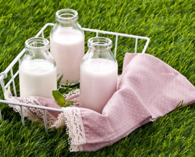 A2 Dairy in 2026: What the Label Really Means  