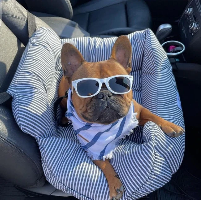 Dog Car Seat Canada | Safe Dog Travel Seats & Carriers