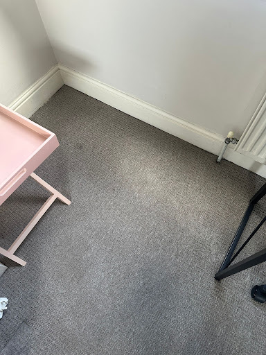 Carpet and Upholstery Cleaner: Find Reliable Carpet Cleaning Near Me for a Fresher Home