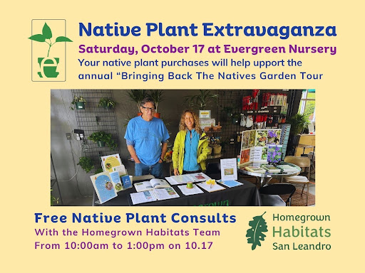 California Native Garden Event Oct 17 | Evergreen Nursery