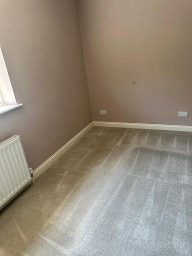 Professional Carpet Cleaning: How to Keep Your Carpets Fresh and Your Business Looking Its Best