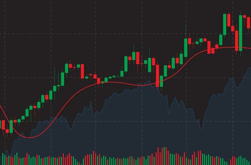 Zomato Share Price: Latest Stock Updates, Financial Analysis and Investment Guide