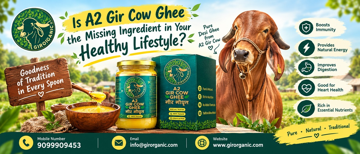 Is Desi Cow Ghee the Missing Ingredient in Your Healthy Lifestyle?