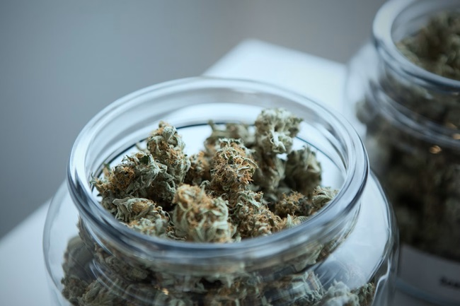 Where to Buy Bulk Weed Online in Canada: A Buyer’s Checklist