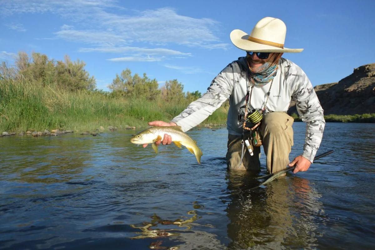 Delta Colorado Lodging: A Guide to Hotels, Cabins, and Places to Stay