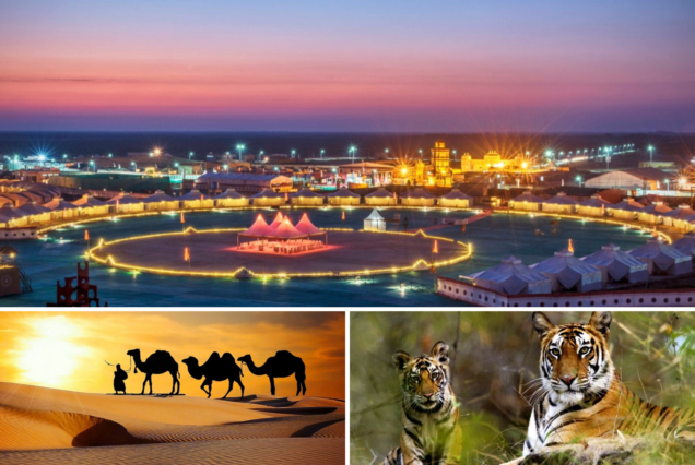 Gujarat Tour Packages for Food Lovers: Discover the Authentic Flavours of Gujarat
