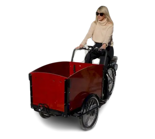 Big Wheels, Food Carts and Rickshaws: How to Shop Smart for Three-Wheeled Rides and Rolling Businesses
