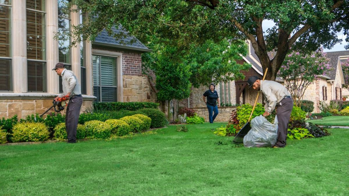 Texterra Lawn & Landscaping LLC Helps Create Beautiful Outdoor Spaces