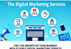 Digital Strategies for Sustainable Business Growth