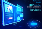 Digital Strategies for Sustainable Business Growth