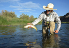 Delta Colorado Lodging: A Guide to Hotels, Cabins, and Places to Stay