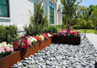 Transformed Landscaping Co.: Xeriscape in Austin Texas for Beautiful Water-Wise Landscapes