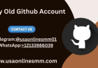  Top 30 Sites To Buy Old GitHub Account