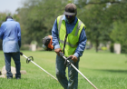 Create a Welcoming Property With Smart Landscaping in Fort Worth