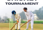 What Is the Difference Between Cricket ID and Online Cricket ID?