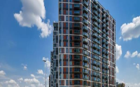 Where Is the Best Place to Raise a Big Family in LondonTop Areas for Families with 3 or 4 Children