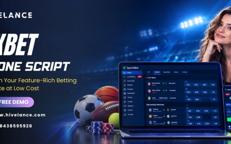 Complete 1XBet Clone Solution With Payment, Sports Data, and Casino API Integrations