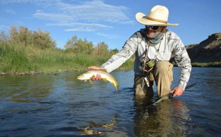 Delta Colorado Lodging: A Guide to Hotels, Cabins, and Places to Stay