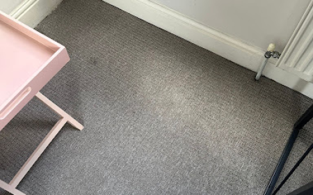 Carpet and Upholstery Cleaner: Find Reliable Carpet Cleaning Near Me for a Fresher Home