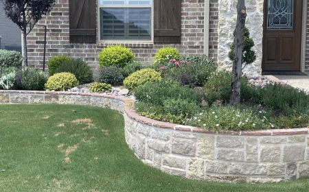 Sod Installation in Arlington and Mansfield, TX: Tips for a Healthy Lawn