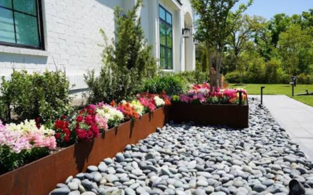 Transformed Landscaping Co.: Xeriscape in Austin Texas for Beautiful Water-Wise Landscapes