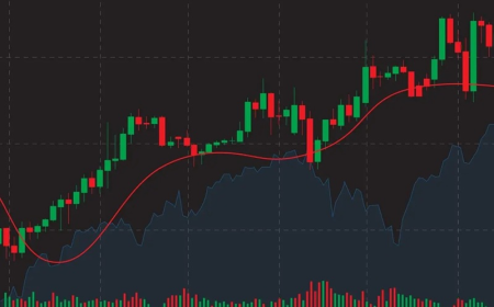 Zomato Share Price: Latest Stock Updates, Financial Analysis and Investment Guide