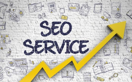 Best Certified SEO Company: Why SEO Agility Leads the Way in Pakistan