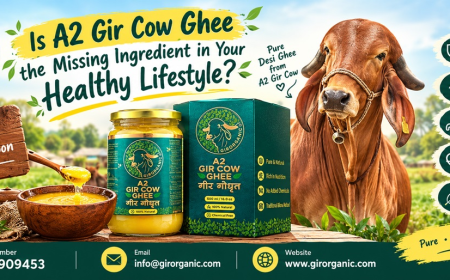Is Desi Cow Ghee the Missing Ingredient in Your Healthy Lifestyle?