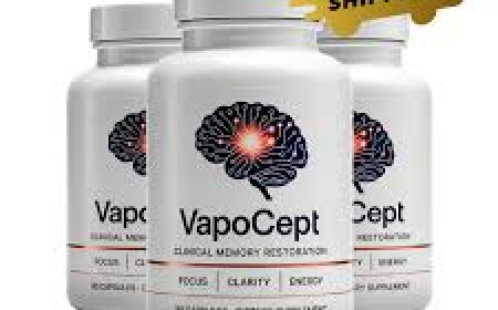 VapoCept Memory & Focus Guide: What Buyers Should Know Before Trying It