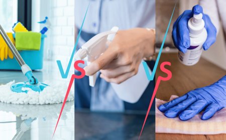 Are Home Sanitation Services Worth the Cost in Pittsburgh?