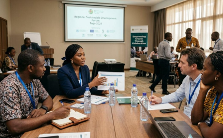 Togo eVisa for Conference and Workshop Participation