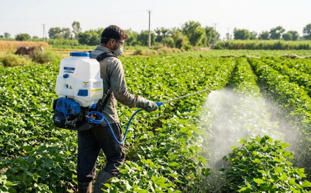 Choose the Right Power Sprayer in Pakistan for Farms, Gardens and Crop Care
