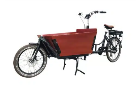 Selling, Carrying and Riding: A Practical Guide to Electric Ice Cream Carts, Trike Scooters and Rickshaws