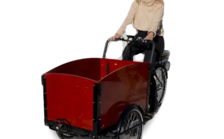 Big Wheels, Food Carts and Rickshaws: How to Shop Smart for Three-Wheeled Rides and Rolling Businesses